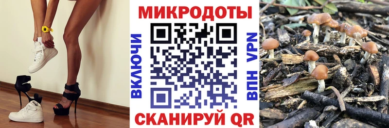 Галлюциногенные грибы GOLDEN TEACHER  хочу   Углич 